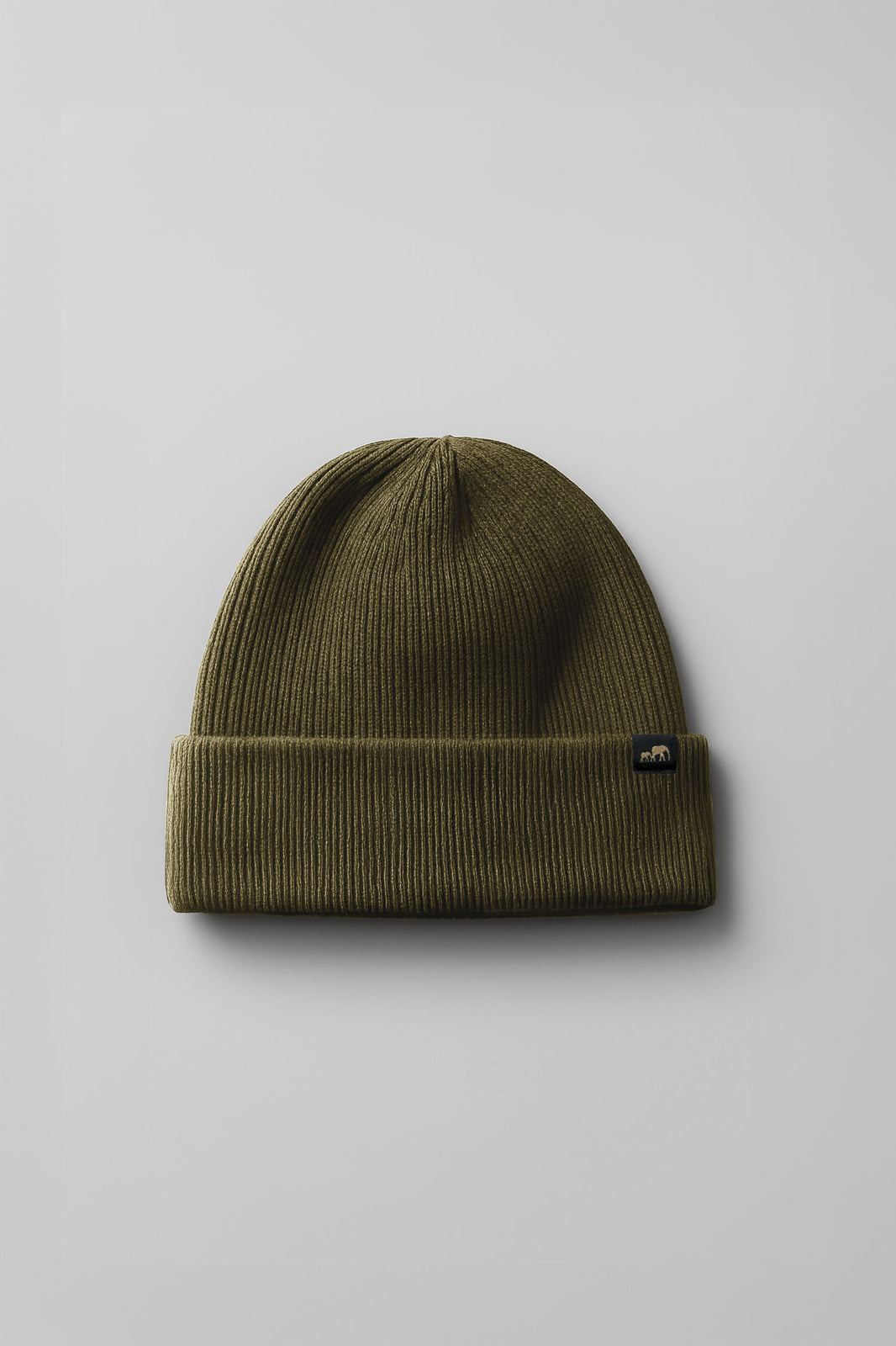 Future Proof Beanie (Olive)