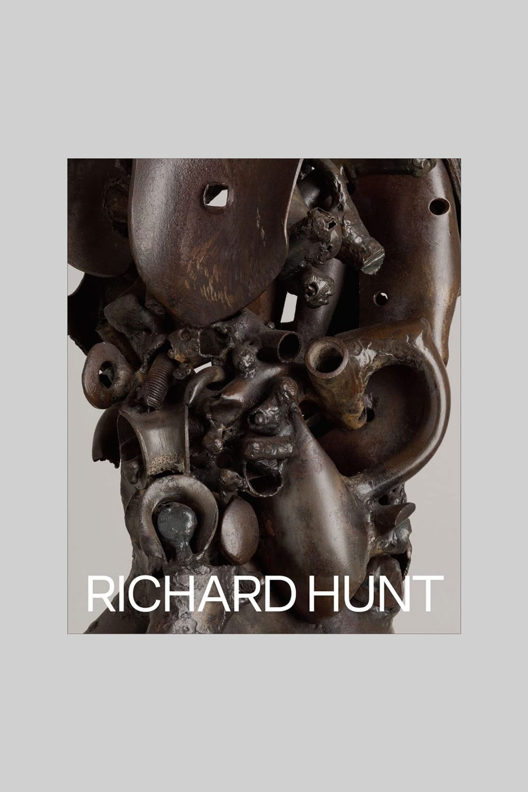 Richard Hunt (Hardcover)