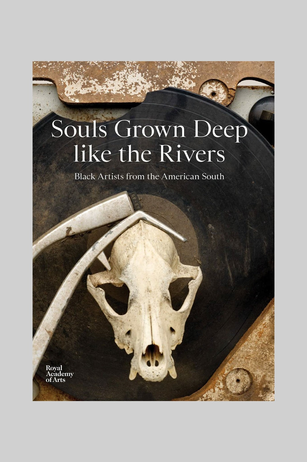 Souls Grown Deep like the Rivers: Black Artists from the American South (Hardcover)